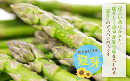 Y18-22-01 清流・有機肥料使用 アスパラガス(夏芽) 1kg(M) 【2026年6月より順次配送開始】 