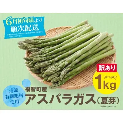 Y18-23 【訳あり】清流・有機肥料使用 アスパラガス(夏芽) 1kg 【2026年6月より順次出荷】