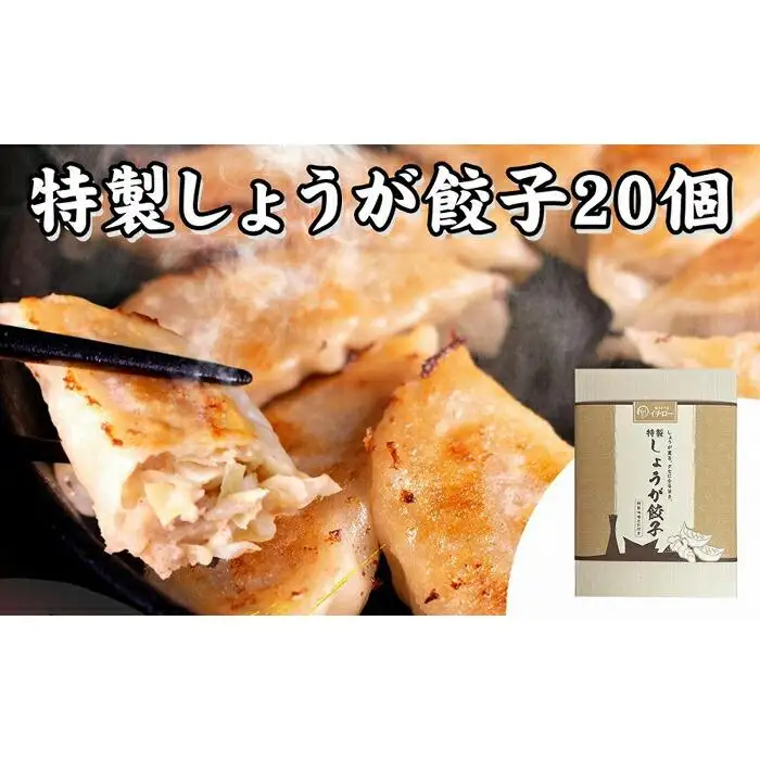 [ギョーザ専門店イチロー] 神戸味噌だれ餃子2種（計40個）食べ比べセット