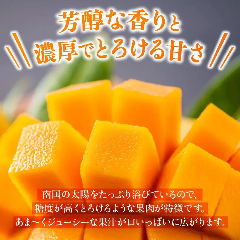 石垣島 マンゴー 約1kg