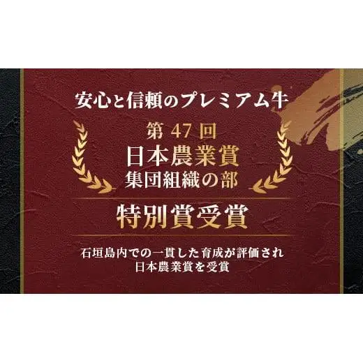 石垣牛 ハンバーグ 100g10個