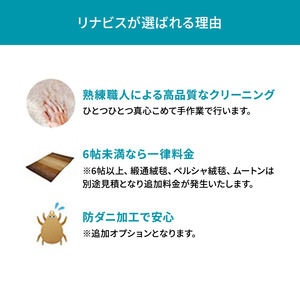 クリーニング 絨毯 クリーニングクーポン リナビス ラグ カーペット 玄関マット 電気カーペット 洗濯 防ダニ 高品質 せんたく便 宅配クリーニング チケット 券 サービス 静岡 静岡県 袋井市