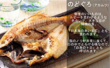 お手軽干物セット のどぐろ 鯛 いか 沖ギス あじ 魚介類 魚貝類 魚 干物 一夜干し セット 詰め合わせ 【020_1697】