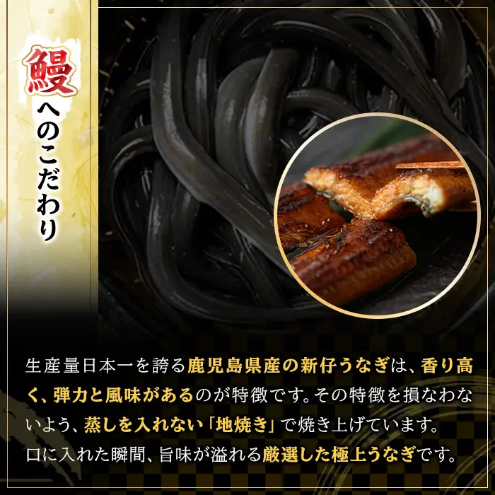 鹿児島県産 うなぎ 蒲焼 大 2尾 うなぎの肝串 5本付【00-025-07】