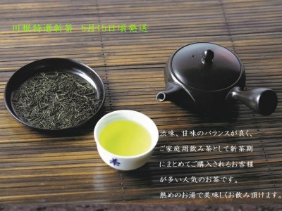 11-54 新茶 静岡川根茶　特選新茶100g×5本
