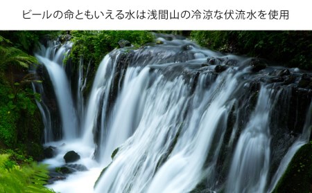 軽井沢ブルワリー クラフトビール 10種20缶 飲み比べ セット | クラフトビール 地ビール