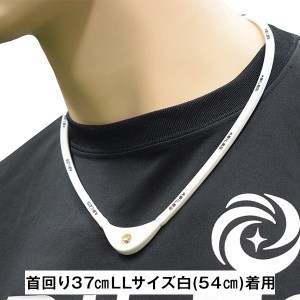 a29-005　ABILES PLUS ネックレス FORCE