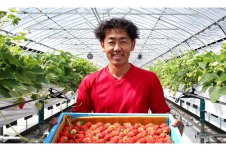 【先行予約R8年 6月下旬より順次発送】みやむら農園　希少な夏いちご『サマープリンセス（２パック）』