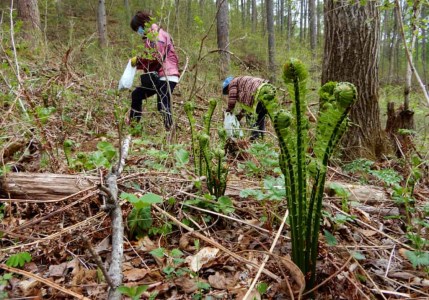 南相木村の自然体験利用券（5万円分）
