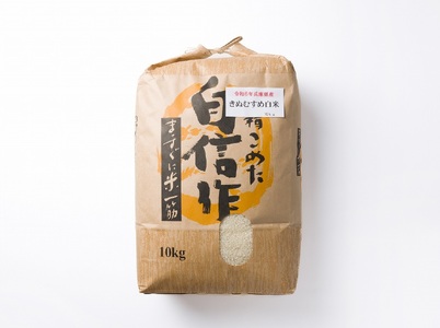 【スピード配送】きぬむすめ 10kg 白米 令和７年産