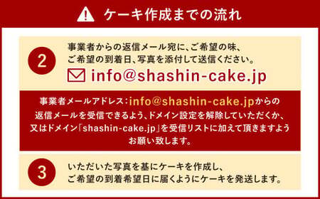 【生クリーム】サプライズに最適！ 写真ケーキ 3～6人用 5号サイズ