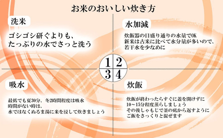米 令和7年産ミルキークイーン 12kg 6ヶ月連続お届け 1月発送