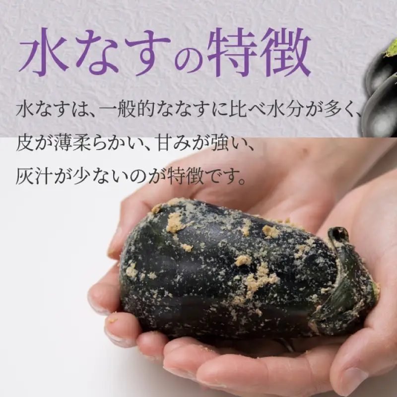 水なす浅漬け 5個 水なす染めタオルハンカチセット