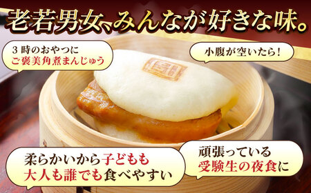 長崎角煮まんじゅう10個 （袋） 豚肉 東坡肉 レンジ ふわふわ ほかほか 五島市/岩崎本舗 [PFL009]  冷凍 豚 豚角煮 角煮饅頭 簡単調理 お取り寄せ