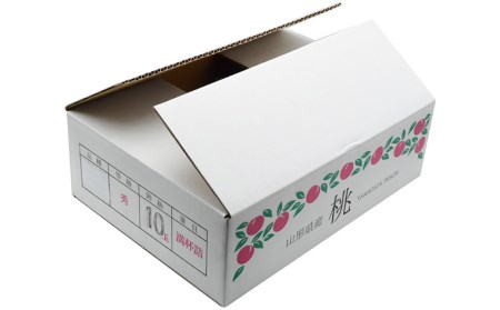 山形の白桃と黄桃のセット 約3kg(6～13玉)[柔らかくなる品種・果肉やや硬め]【令和8年産先行予約】FS24-567 くだもの 果物 フルーツ 山形 山形県 山形市 2026年産