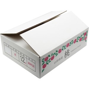 山形の黄桃 約3kg(6～13玉)[柔らかくなる品種・果肉やや硬め]【令和8年産先行予約】FU22-055 くだもの 果物 フルーツ 山形 山形県 山形市 2026年産
