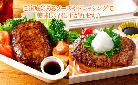 鉄板焼！JGハンバーグヴィアンド 2.2kg(110g×20個) FZ22-452