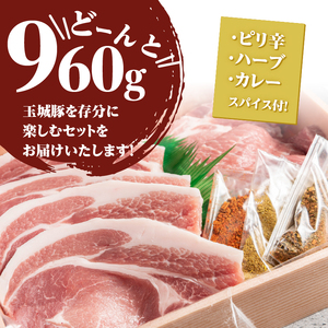 玉城豚とんてき・スパイスステーキセット[玉城豚 ロース とんてき ステーキ]