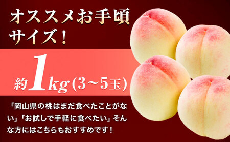 桃 岡山の 桃 約1kg