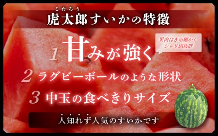 【先行予約】スイカ 虎太郎すいか　1玉  [e58-a003]