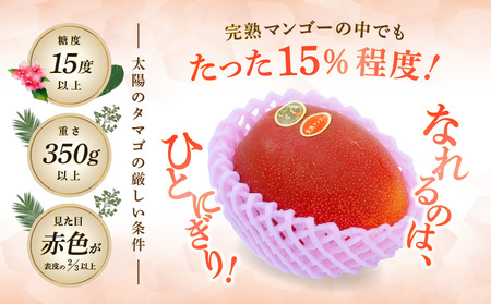 《2026年発送先行予約》【数量・期間限定】宮崎県産 太陽のタマゴ 2玉 国産 マンゴー 完熟 完熟マンゴー 厳選 冷蔵 フルーツ 果物 旬の果物 くだもの 特産品 お取り寄せ 贈答 ギフト