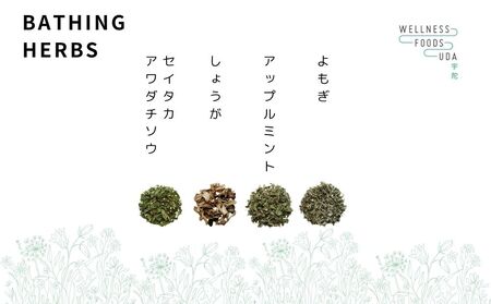 ミックス ハーブ 入浴剤 1箱(5包入)×2個／ ウェルネスフーズ UDA 大和当帰 薬草 リラックス ストレス解消 ボディケア 肌荒れ改善 疲労回復 大和当帰 ゆず レモングラス どくだみ 紫蘇 よもぎ アップルミント セイタカアワダチソウ しょうが 奈良県 宇陀市