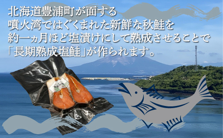 漁師の手作り！長期熟成 塩鮭 約800g 8～12切れ 小分け 