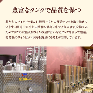  北海道十勝芽室町 つながる vin2022 750ml×1本 北海道 十勝 芽室町 赤ワイン わいん 果実酒 酒 セット 贈り物 ギフト お祝い 記念日 お歳暮 国産 瓶 お取り寄せ 北海道 十勝 芽室町北海道 十勝 芽室町　me032-041c