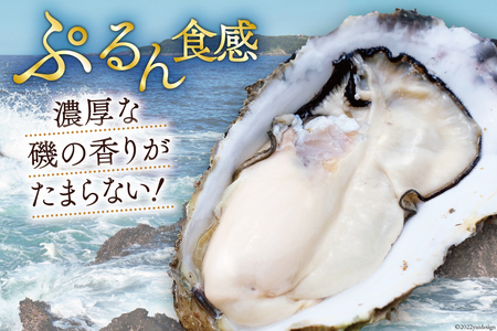 【期間限定発送】 TVで紹介！ 牡蠣 3～4年モノ 生食 殻付き牡蠣 約3kg(約16-18個入) [住喜水産 宮城県 気仙沼市 20564186]