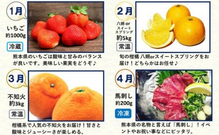 【 定期便 12回 】支援 企画 ！ くまもと 生産 農家 応援 定期便 ！ 肉 野菜 フルーツ