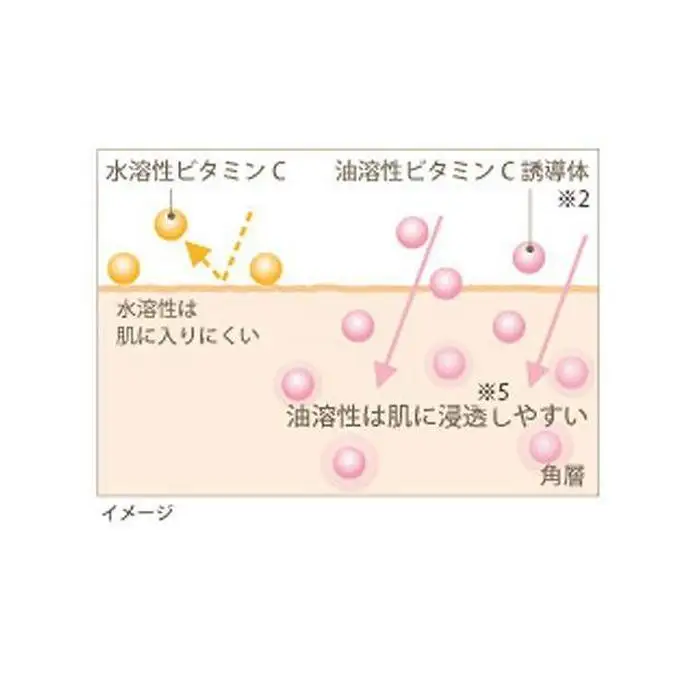 【箔一】金華ゴールド　カプセルEX　N