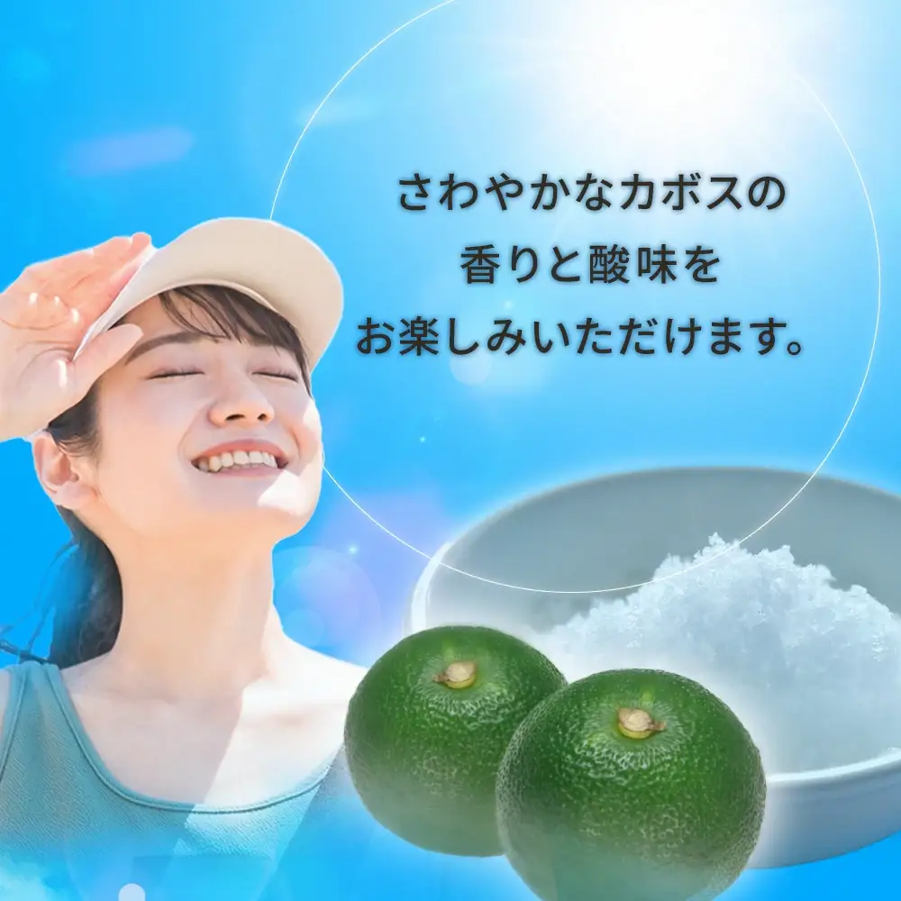 塩とカボス 495ml×24本 | 津久見市