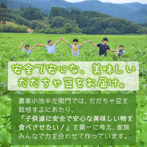 【令和8年産先行予約】朝採りだだちゃ豆 【白山】1.5kg (500g×3袋) 枝豆　小池半左衛門
