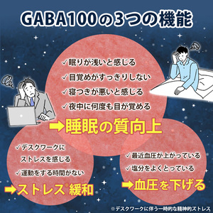 No.898 ＜機能性表示食品＞GABA100(62粒入×2袋・計124粒)鹿児島 日置市 健康食品 サプリ 栄養バランス 食生活 安心安全 デスクワーク ストレス緩和 高血圧【てまひま堂】