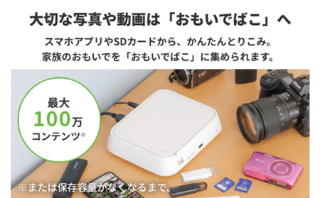 BUFFALO おもいでばこ 1TB Wi-Fi6対応 デジタルフォトアルバム データ保存 家電