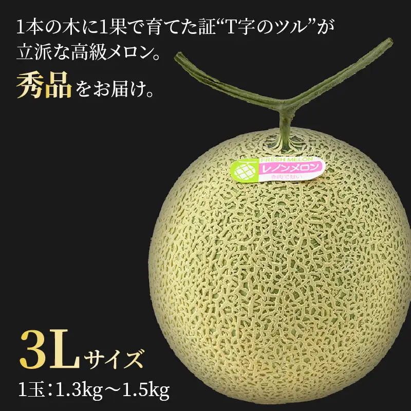 【先行予約】レノンメロン 3L 2玉入 約2.6～3kg《秀品》コク深い甘さ・香りいっぱいのメロン！農家直送 有機肥料 低農薬 赤肉 マスクメロン 高級メロン ※2026年6月中旬より順次発送 [aw069-a006]