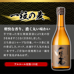 No.913 一粒の麦(720ml×3本)焼酎 麦焼酎 酒 アルコール 麦 家飲み 宅飲み 大麦 大麦麹 常温 常温保存【西酒造】