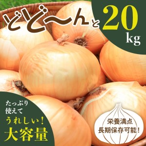 【2026年産先行受付】【10月上旬より発送】北海道十勝めむろ産　たまねぎ L大サイズ 20kg 玉ねぎ 期間限定 玉葱 タマネギ 野菜 長期保存 オニオン オニオンスープ カレー 焼肉 産地直送 送料無料 お取り寄せグルメ 北海道 十勝 芽室町 me010-011c-26
