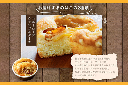 ハニーローザカップケーキセット 熊本県玉名郡玉東町 すもも ハニーローザ ぷらっとぎょくとう《60日以内に出荷予定(土日祝除く)》 