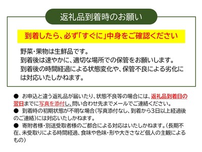 【3ヶ月定期便】くさぶえ農園『冬の野菜6～8品目セット』（2026年11月～2027年3月出荷／北海道・沖縄・離島は配送不可）高原 無農薬 産地直送 新鮮 旬彩 簡単レシピ 先行予約【 産直 高原野菜 旬の野菜 有機野菜 有機栽培 農薬 化学肥料 不使用 佐久市】