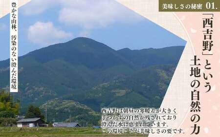 有機栽培　南高しそ漬け梅干700g | 果実 かじつ カジツ 梅 うめ ウメ 梅干し 奈良県 五條市 健康