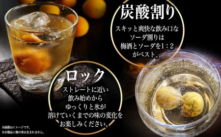 都城酒造 ほろ酔い梅酒2本≪みやこんじょ特急便≫_AO-6701_(都城市) プレミアム梅酒 14度 500ml 2本 都城酒造 梅酒