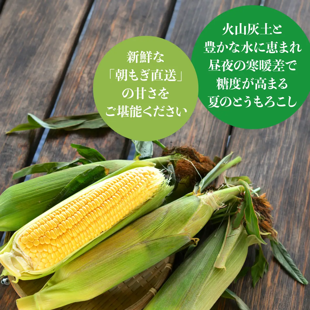 ＜2026年7月・8月・10月お届け＞清水初男農園 メロン・とうもろこし・お米 3回お届け定期便 先行予約 SBTP010