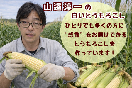 ＜2026年8月中旬よりお届け＞【朝採り】北海道壮瞥町産 ホワイトコーン「ピュアホワイト」Lサイズ以上6本（約2.5kg） SBTQ004