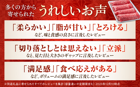 佐賀産和牛 牛肉切り落とし 3kg / 牛肉切り落とし [IAG004]
