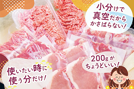 肥前さくらポーク バラエティ4種セット(合計1.6kg) ローススライス・小間切れ・ミンチ・とんかつ用 真空 小分け 豚肉 スライス ひき肉 パック 詰合せ