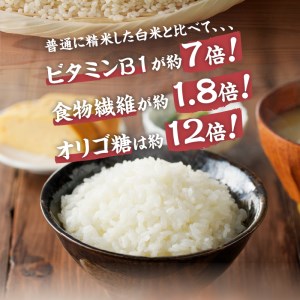 【3ヶ月定期便】 金芽米特別栽培米農林48号4kg(2kg×2)　ふっくら 糖質オフ カロリーオフ BG無洗米 希少銘柄 小分け 山梨県 北杜市産 [h151]