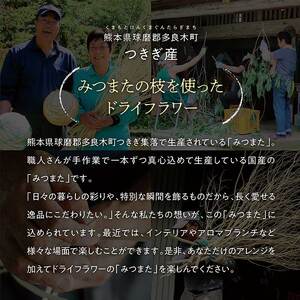 TSUKIGI みつまた 50cm～80cm 【 白枝 インテリア オブジェ 3本セット 枝 白 モダン おしゃれ ドライフラワー ナチュラル アロマブランチ 天然 国産 槻木 多良木町 】 048-0586