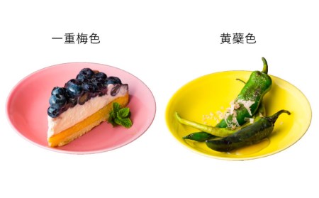 【波佐見焼】料理を引き立たせる 取皿 14色セット 食器 皿 【DRESS】 [SD34] 波佐見焼