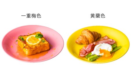 【波佐見焼】料理を引き立たせる 大皿 14色セット 食器 皿 【DRESS】 [SD37] 波佐見焼